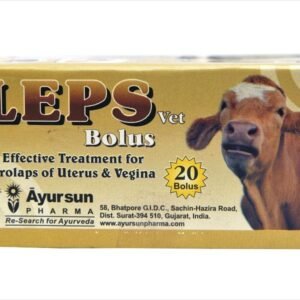 Leps Bolus