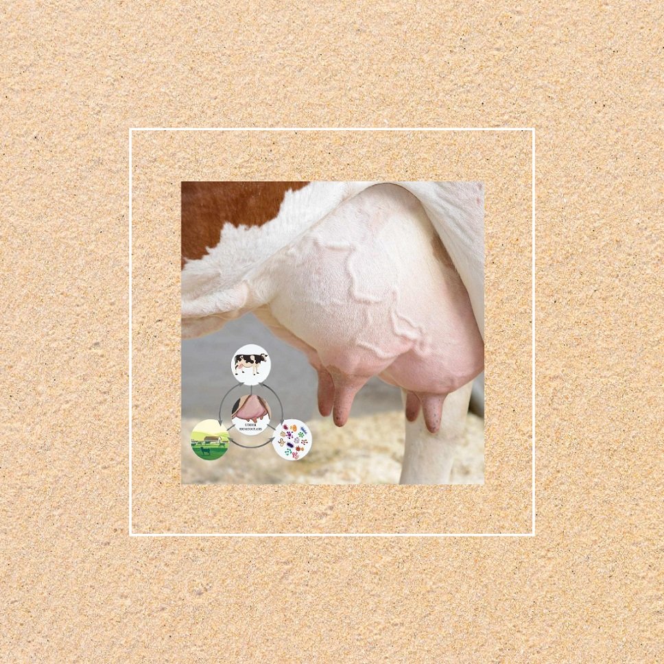 Veterinary Analgesic / Mastitis Control Range