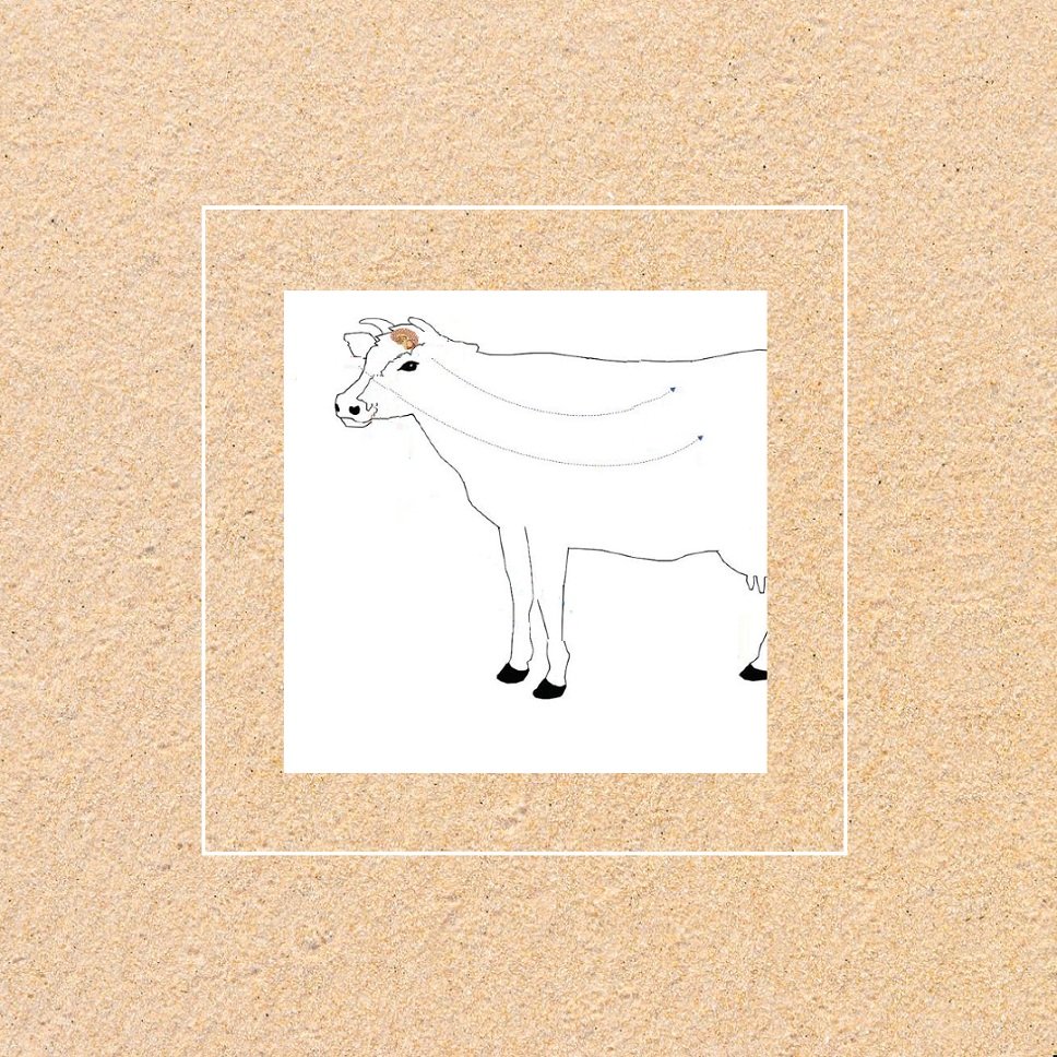 Veterinary Anti Stress Range