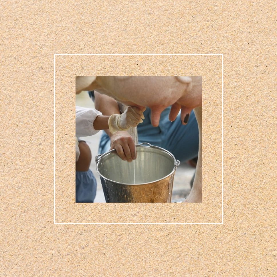 Veterinary Productivity Range