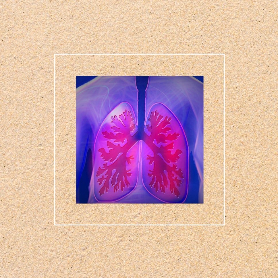 Respiratory Respiratory