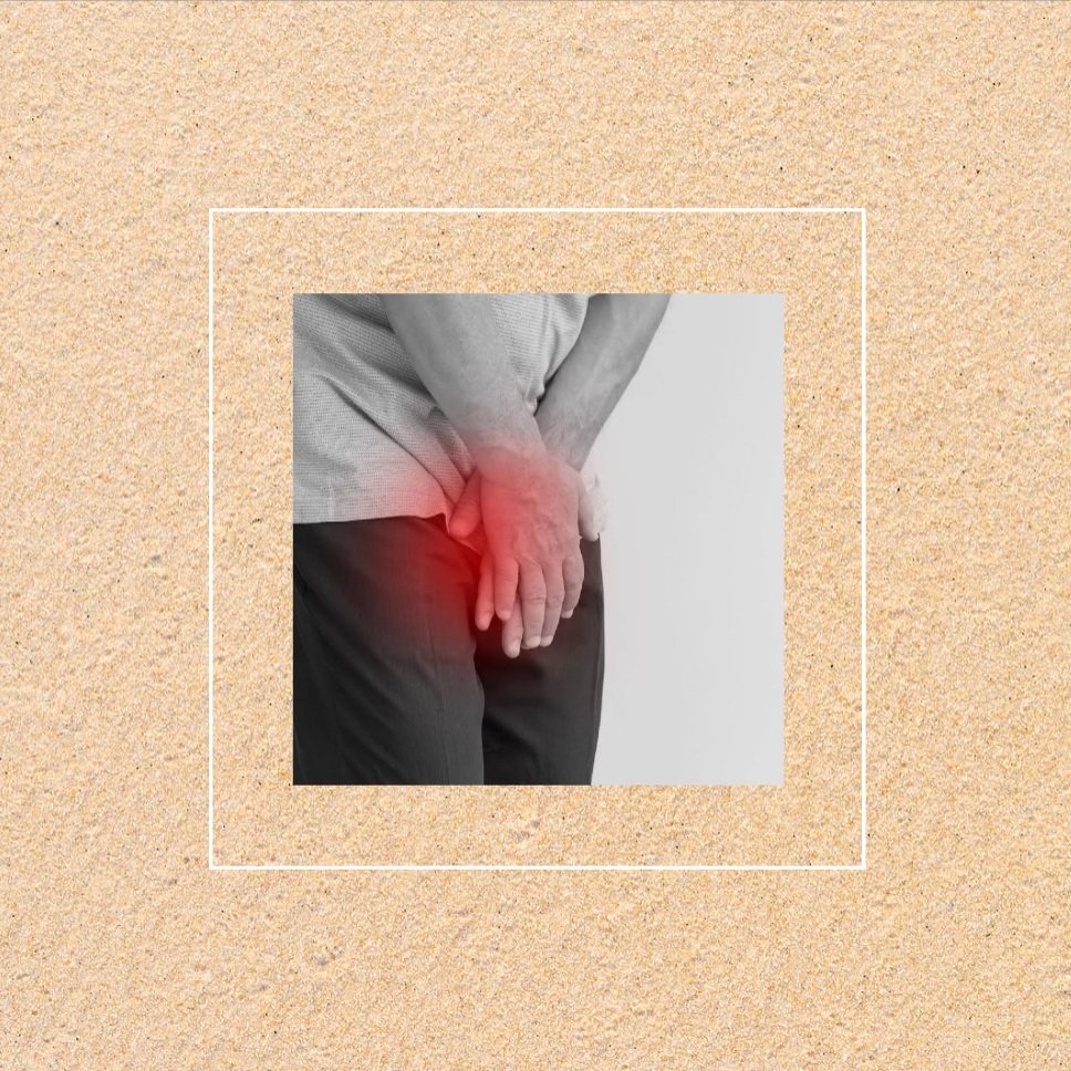 Prostate Prostate